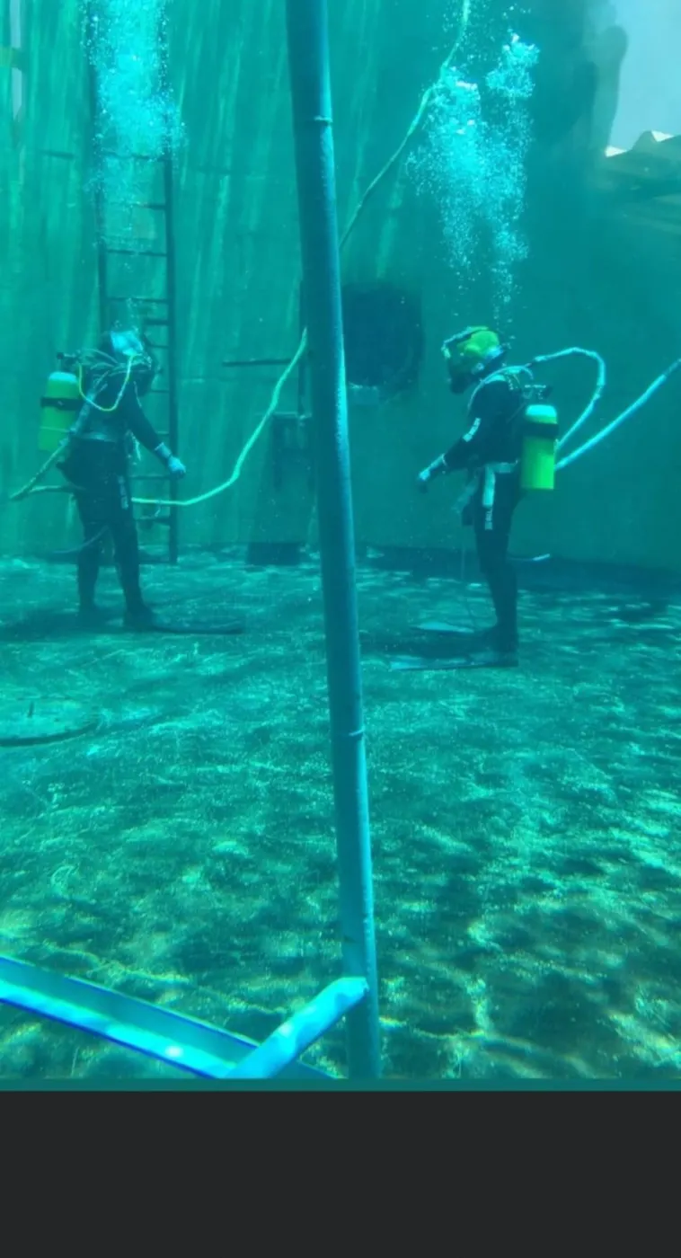 Dois mergulhadores trabalhando junto a estacas submersas